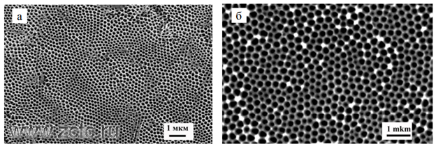 СЭМ-изображение поверхности пористого слоя оксидов